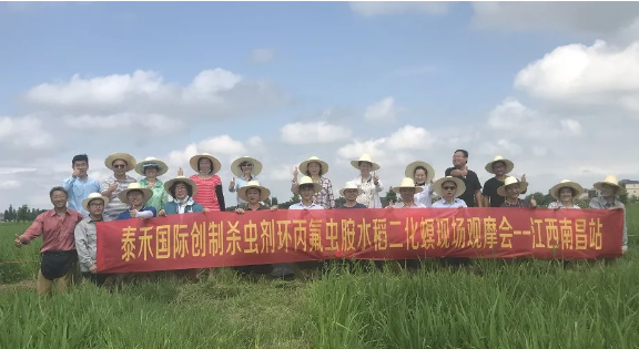 水稻二化螟為害肆意猖獗 環(huán)丙氟蟲(chóng)胺出手技驚四座 ——?jiǎng)?chuàng)新殺蟲(chóng)劑環(huán)丙氟蟲(chóng)胺水稻二化螟藥效田試年內(nèi)首秀