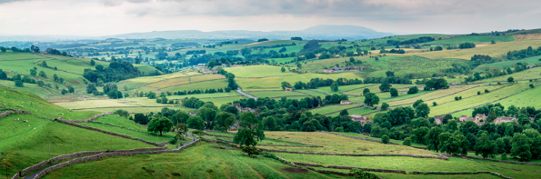 泰禾國(guó)際新型制冷劑R486A等榮獲美國(guó)ASHRAE認(rèn)證