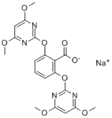 1539310451198885.png 12.png